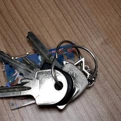 Nøkkelring, som rapportert av Connexxion Haarlem AML ved bruk av iLost