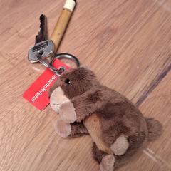Sleutel, iLost-i jakinarazi zaion moduan