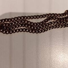 Pegar, segundo informou De Efteling usando iLost