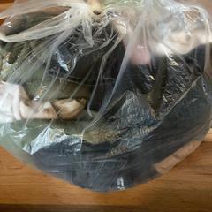 Odzież, zgłoszono przez Attractie- & Vakantiepark Slagharen przy użyciu iLost