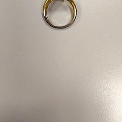 Prsteň, ako bolo nahlásené Vrije Universiteit Amsterdam pomocou iLost