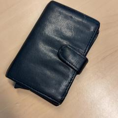 Pasioaren titularra, gisa salatu by RET iLost erabiliz