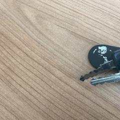 Schlüssel, gemeldet von Breng Arnhem über iLost