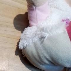 Pop, zoals gemeld door Beekse Bergen Resorts en Hotel met iLost