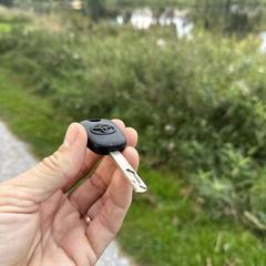 Toyota autosletel an iLost gemeldet