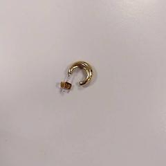 Pendente Goud, segundo informou Vrije Universiteit Amsterdam usando iLost