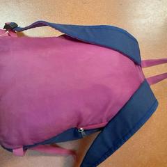 Bag bleu et rose, as reported by TCL using iLost