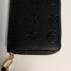 Portafoglio Kasmi, come riportato da Regio Antwerpen - Brussel utilizzando iLost