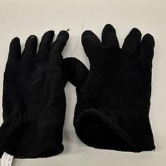 Luvas, segundo informou Transdev Gooi en Vechtstreek usando iLost