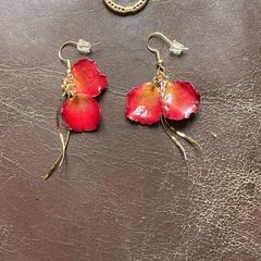 Sieraden، كما تم الإبلاغ عنه بواسطة Groepsaccomodatie Kasteel de Berckt عبر iLost