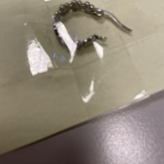 Ring, segons ha informat Vrije Universiteit Amsterdam mitjançant iLost