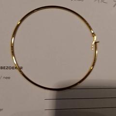 Earring Goud, as reported by TivoliVredenburg using iLost