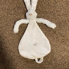 Tut doekje Konijn, som rapportert av Burgers' Zoo ved bruk av iLost