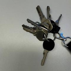 Chiave, come riportato da Zuyderland MC Heerlen utilizzando iLost