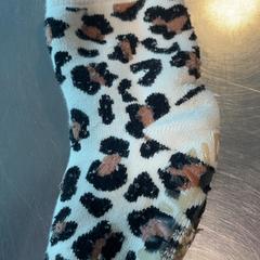 Sock Luipaardprint, as reported by Burgers' Zoo using iLost
