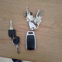 Fietssleutel en autosleutel, as reported to iLost