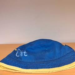 Hat, as reported by Keolis Lund using iLost