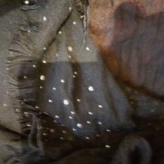 Schal noire, gemeldet von TCL über iLost