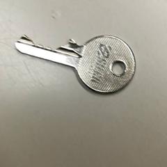 Nyckel, rapporterat av Burgers' Zoo med iLost