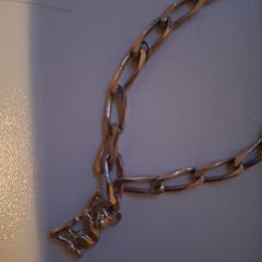 Goudkleurig bedel armbandje، كما تم الإبلاغ عنه عبر iLost