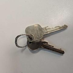 Sleutels 2 aan een ring, zoals gemeld door AFAS Live met iLost