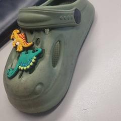 الحذاء Groene, links, crocs، كما تم الإبلاغ عنه بواسطة Burgers' Zoo عبر iLost