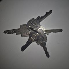 sleutelbos, ako bolo nahlásené iLost