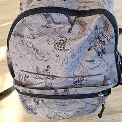 Ryggsäck, rapporterat av RRReis IJssel-Vecht Lelystad med iLost