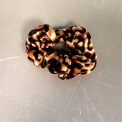 Gomak, gisa salatu by Diergaarde Blijdorp iLost erabiliz