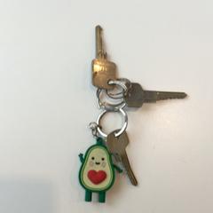 Sleutelbos Bedel Avocado, zoals gemeld door Gemeente Weert met iLost