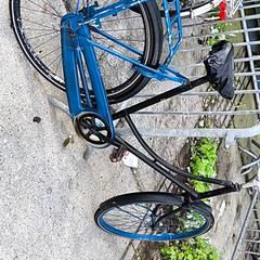 Zwarte dames opoefiets, ako bolo nahlásené Stadswerk072 pomocou iLost