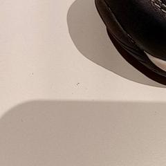 Shoe, as reported by De Efteling using iLost