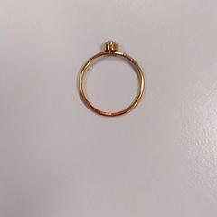 Bague, a été signalé par Vrije Universiteit Amsterdam utilisant iLost