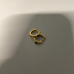 Oorbellen, ako bolo nahlásené Pathé Amersfoort pomocou iLost