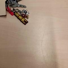 Sleutebos, gemeldet von RET über iLost