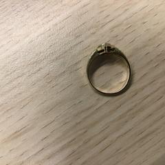 Ring, gemeldet von Gemeente Arnhem über iLost