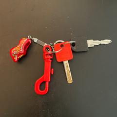 Sleutels, zgłoszono przez Panama Amsterdam przy użyciu iLost