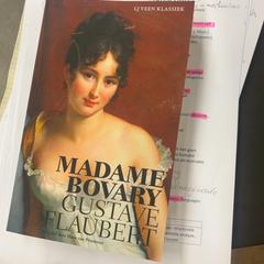 Buch madame bovary + sv algemene taalwetenschap, gemeldet von Universiteit Gent - Faculteitsbibliotheek LW über iLost