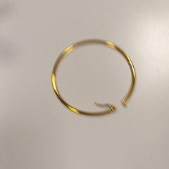 Earring Geel, as reported by Vrije Universiteit Amsterdam using iLost