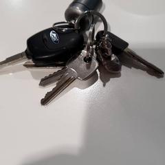 İLost kullanarak Gemeente Oost Gelre tarafından bildirildiği gibi Anahtar Autosleutel met sleutels