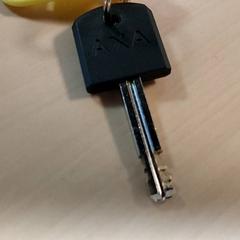 Klíč -AXA, jak nahlášeno Centraal magazijn pomocí iLost