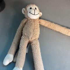 Knuffel aapje, segons ha informat Diergaarde Blijdorp mitjançant iLost