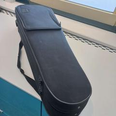 Violin, rapporterat av Arriva Limburg Zuid med iLost