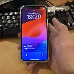 Iphone 12 pro, as reported to iLost