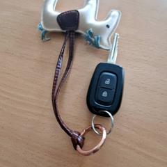 مفتاح السيارة Nissan، كما تم الإبلاغ عنه بواسطة Gemeente Roermond عبر iLost