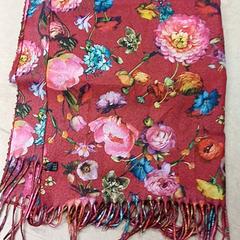 ショール がiLostで Qbuzz GD Groningen Peizerweg によって報告されました