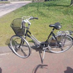 Bicicleta fietsmandje Gazelle, ha sido reportado por Fietsdepot Meierijstad con iLost