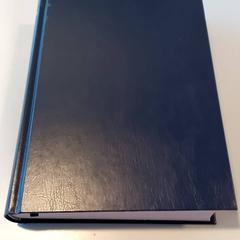 Książka, zgłoszono przez Arriva Limburg Noord przy użyciu iLost