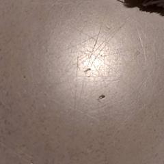 Mysig leksak, rapporterat av De Efteling med iLost