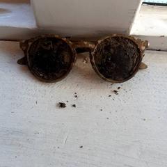 Zonnebril, iLost를 사용하여 DierenPark Amersfoort에 보고됨